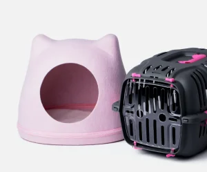 Portable Dog Bed